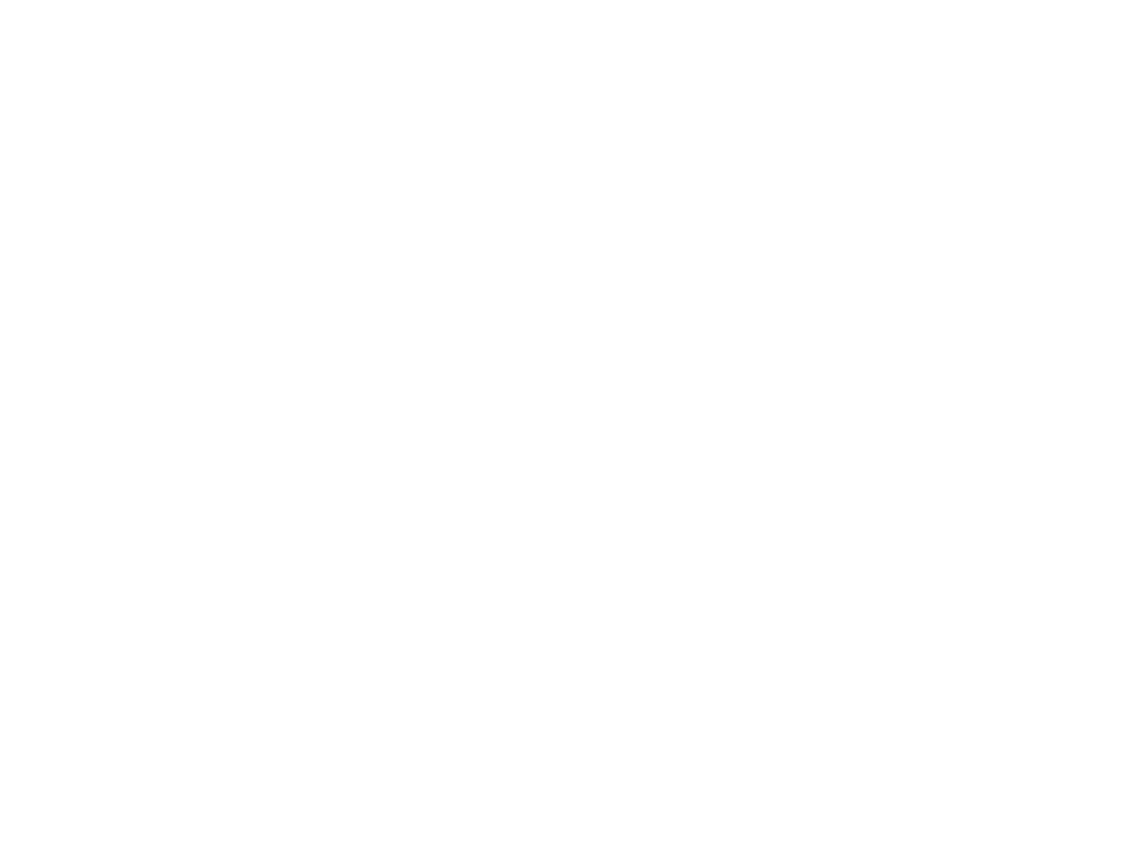 Reversed white logo